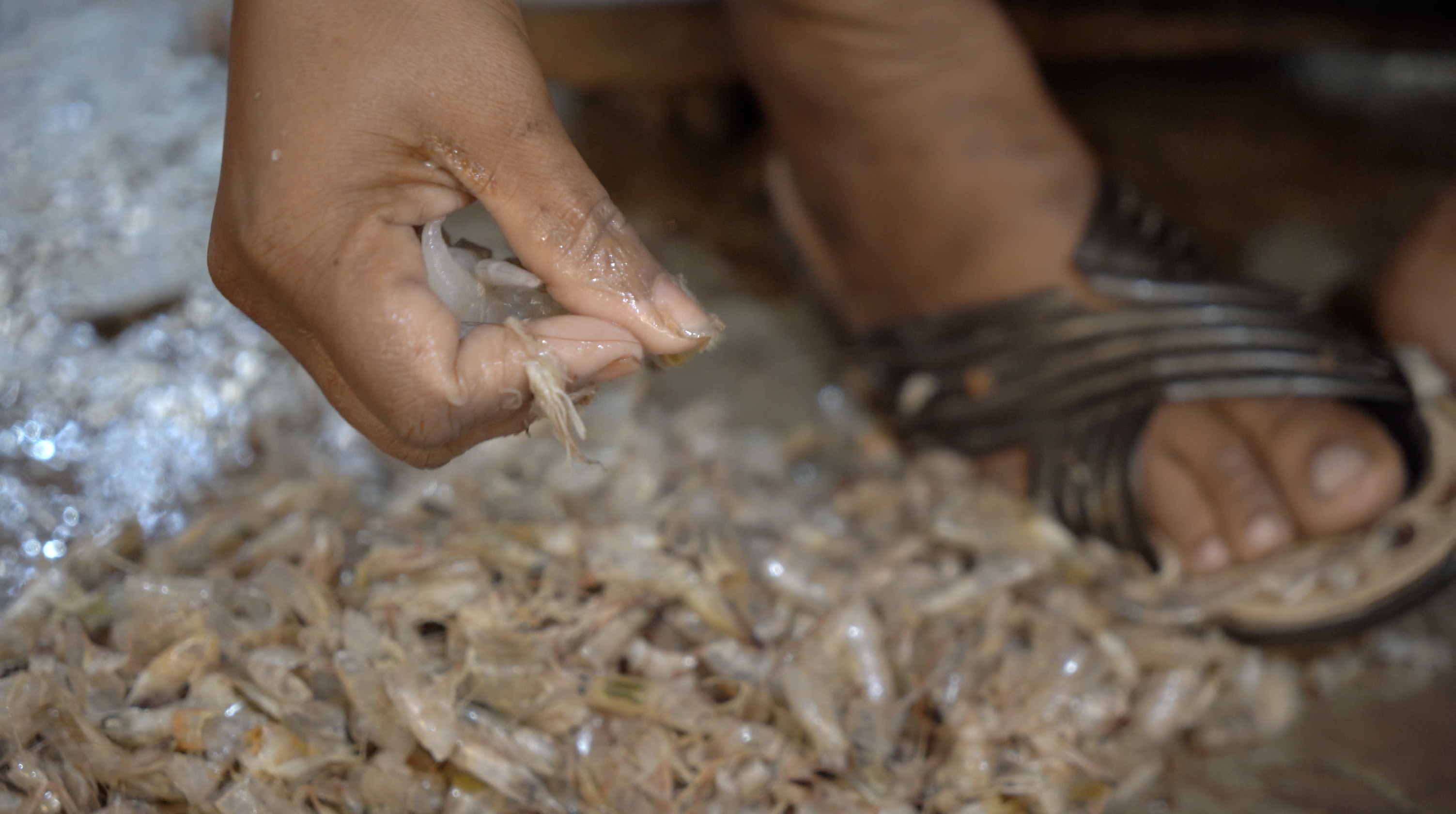 woman gutting prawn